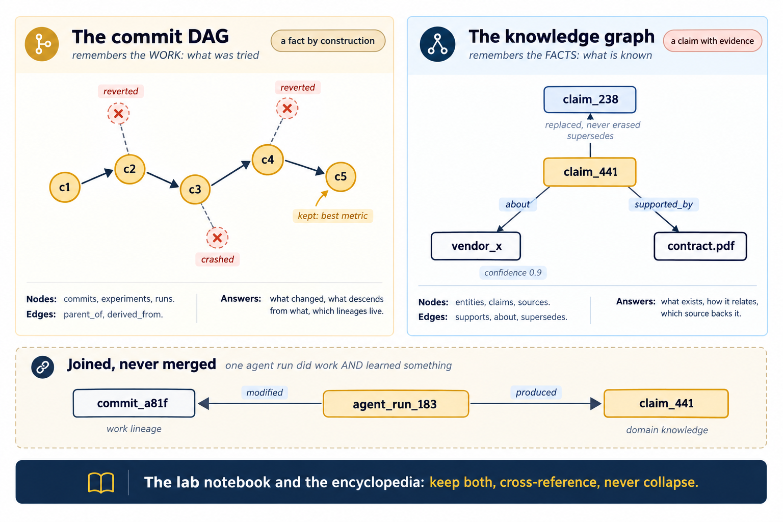 The two graphs, side by side and joined but never merged. Left panel, the commit DAG, labelled remembers the WORK: what was tried, with a chip reading a fact by construction. A chain of five gold commit circles c1 to c5 rises and falls left to right, joined by solid parent arrows, with c5 annotated kept: best metric. Three dashed grey branches leave the trunk and end in pale crossed-out circles labelled reverted, reverted, and crashed. Caption: nodes are commits, experiments, runs; edges are parent_of and derived_from; it answers what changed, what descends from what, which lineages live. Right panel, the knowledge graph, labelled remembers the FACTS: what is known, with a terra chip reading a claim with evidence. A central gold claim_441 box connects by labelled arrows to a white vendor_x box (about), a cream contract.pdf box (supported_by, annotated confidence 0.9), and a pale claim_238 box above it (supersedes, annotated replaced, never erased). Caption: nodes are entities, claims, sources; edges are supports, about, supersedes; it answers what exists, how it relates, which source backs it. A dashed bridge panel across the bottom is headed Joined, never merged, with the note one agent run did work AND learned something: a central gold agent_run_183 chip has a modified arrow left to a white commit_a81f box, captioned work lineage, and a produced arrow right to a gold claim_441 box, captioned domain knowledge. Footer: the lab notebook and the encyclopedia, keep both, cross-reference, never collapse.