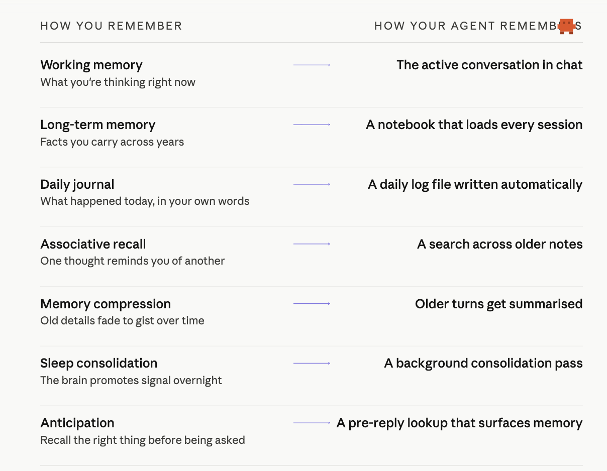 How you remember vs how your agent remembers: working memory ↔ active conversation, long-term ↔ MEMORY.md notebook, daily journal ↔ memory/YYYY-MM-DD.md, associative recall ↔ memory_search, memory compression ↔ compaction, sleep consolidation ↔ dreaming, anticipation ↔ active memory.